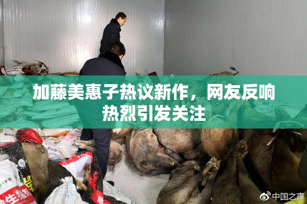 加藤美惠子热议新作，网友反响热烈引发关注