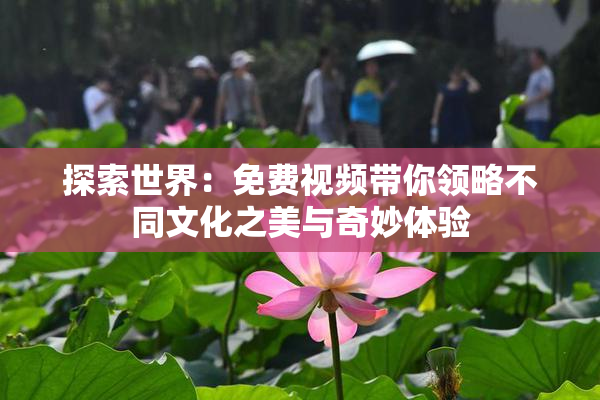 探索世界：免费视频带你领略不同文化之美与奇妙体验