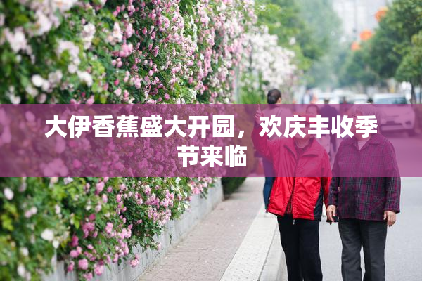 大伊香蕉盛大开园，欢庆丰收季节来临