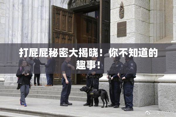 打屁屁秘密大揭晓！你不知道的趣事！