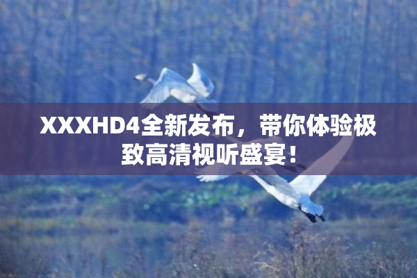 XXXHD4全新发布，带你体验极致高清视听盛宴！