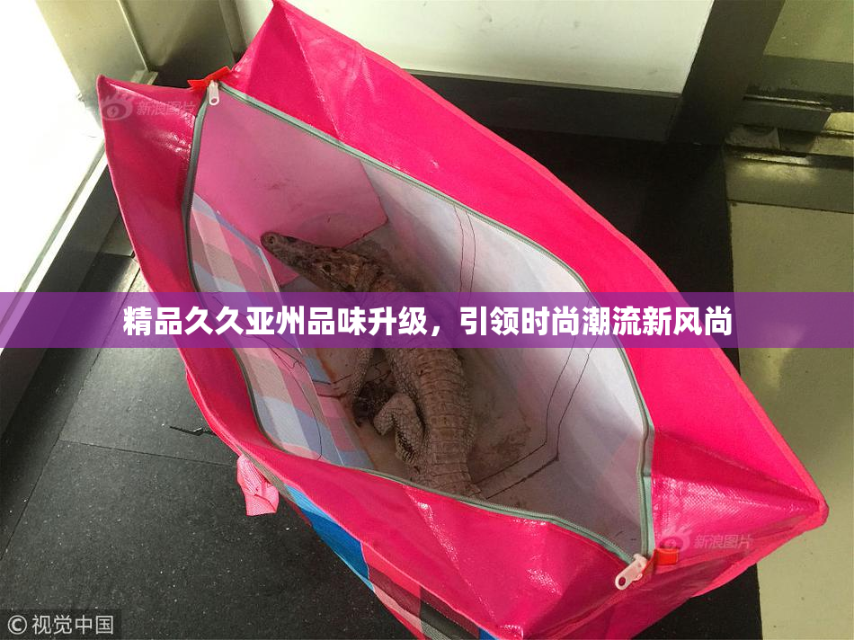精品久久亚州品味升级，引领时尚潮流新风尚