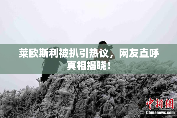 莱欧斯利被扒引热议，网友直呼真相揭晓！
