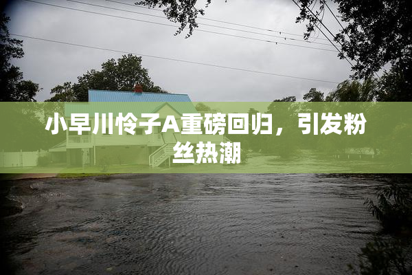 小早川怜子A重磅回归，引发粉丝热潮