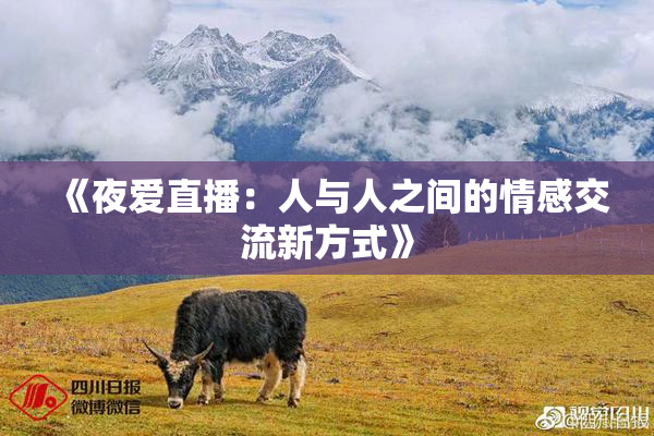 《夜爱直播：人与人之间的情感交流新方式》
