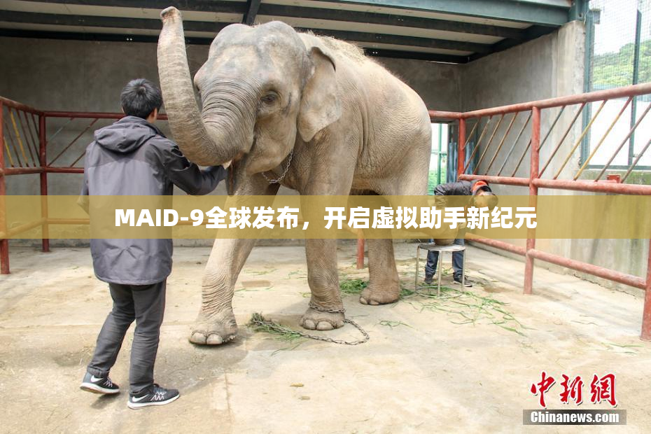 MAID-9全球发布，开启虚拟助手新纪元