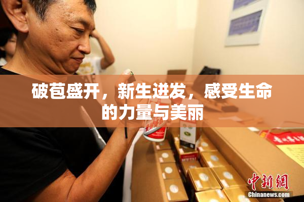 破苞盛开，新生迸发，感受生命的力量与美丽