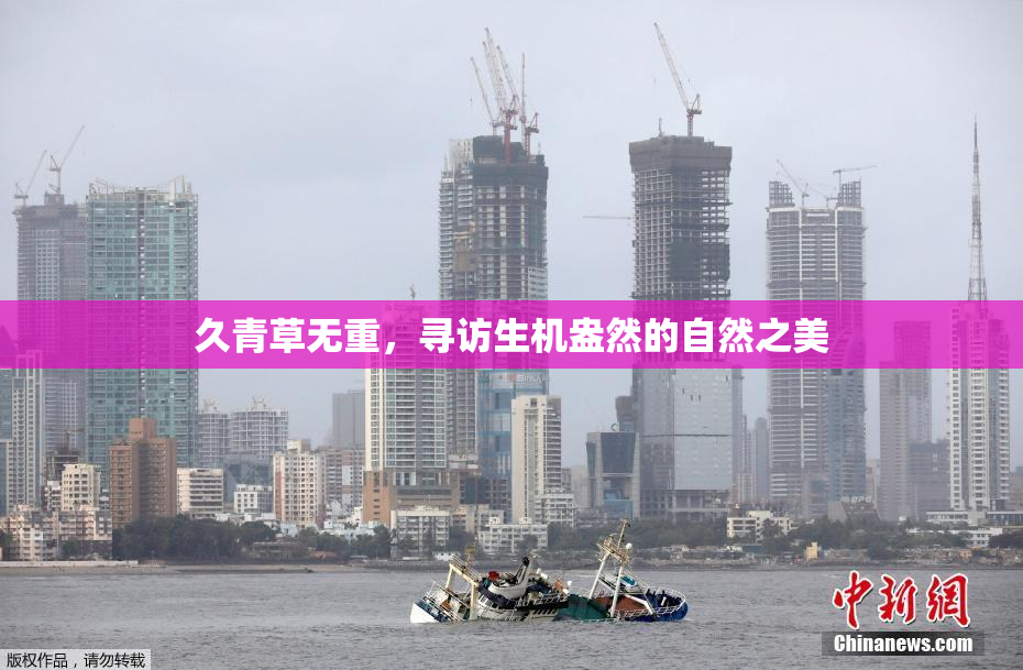 久青草无重，寻访生机盎然的自然之美