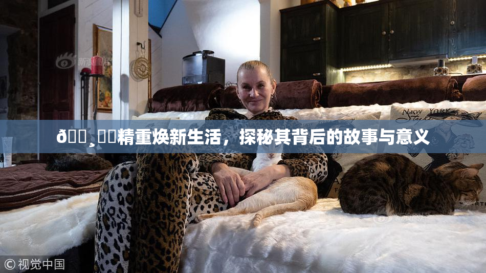 🌸‌✿精重焕新生活，探秘其背后的故事与意义