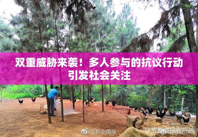 双重威胁来袭！多人参与的抗议行动引发社会关注