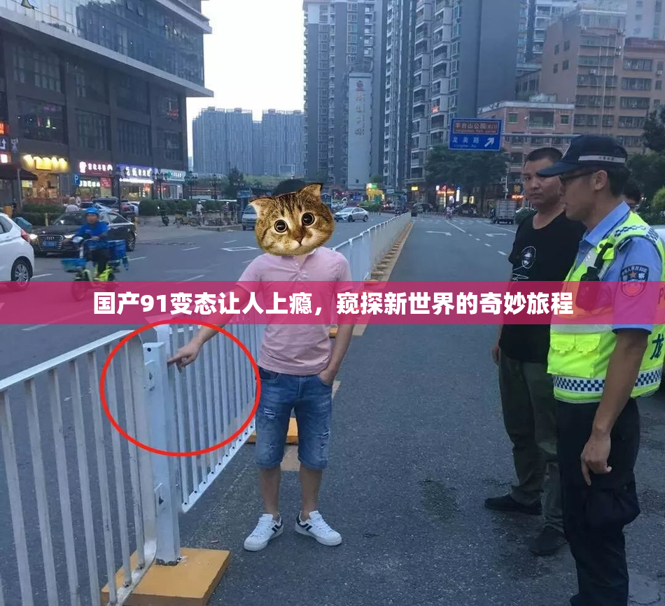 国产91变态让人上瘾，窥探新世界的奇妙旅程