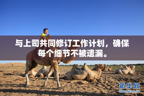 与上司共同修订工作计划，确保每个细节不被遗漏。