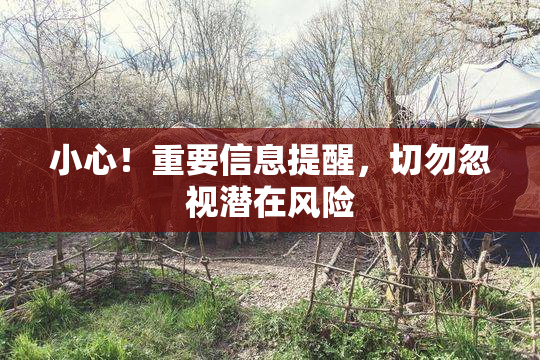 小心！重要信息提醒，切勿忽视潜在风险