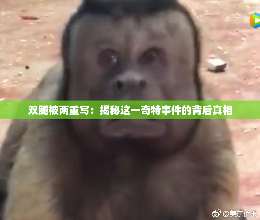 双腿被两重写：揭秘这一奇特事件的背后真相