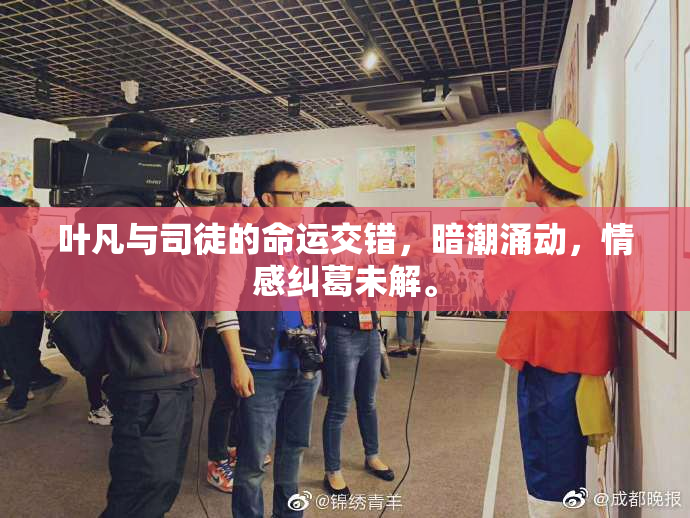 叶凡与司徒的命运交错，暗潮涌动，情感纠葛未解。