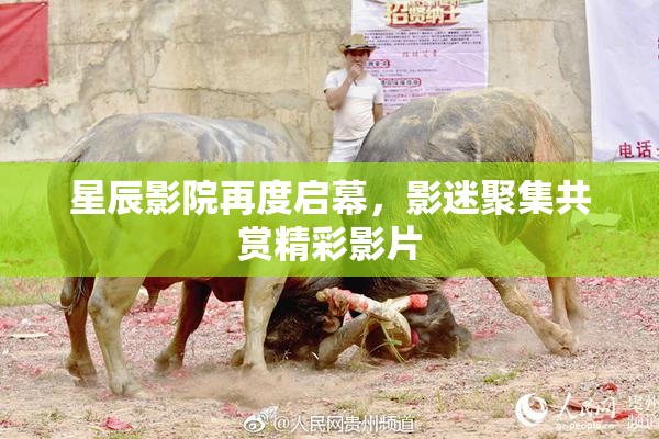 星辰影院再度启幕，影迷聚集共赏精彩影片