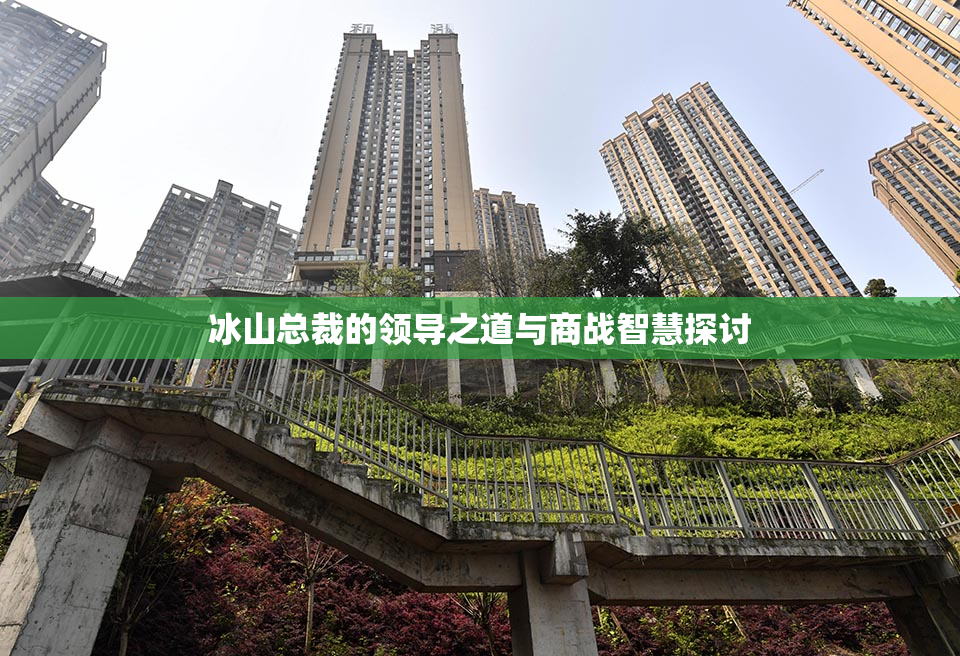 冰山总裁的领导之道与商战智慧探讨
