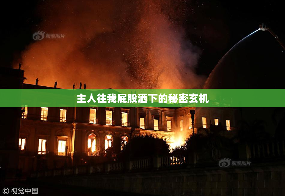 主人往我屁股洒下的秘密玄机