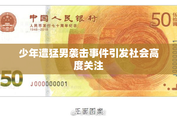 少年遭猛男袭击事件引发社会高度关注