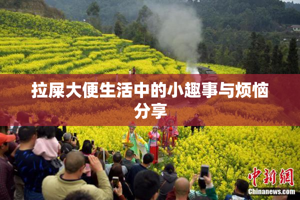 拉屎大便生活中的小趣事与烦恼分享