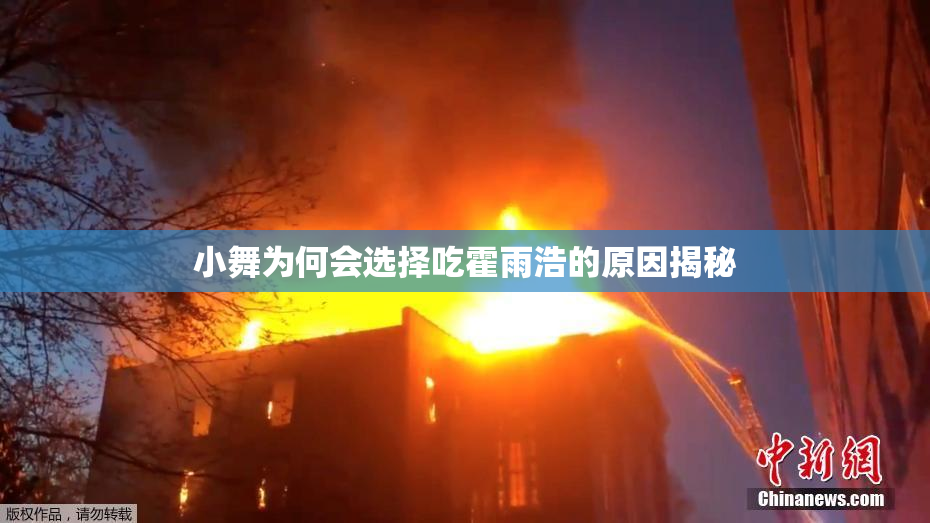 小舞为何会选择吃霍雨浩的原因揭秘