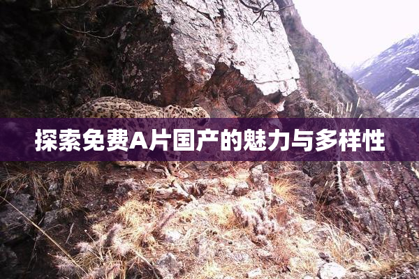 探索免费A片国产的魅力与多样性