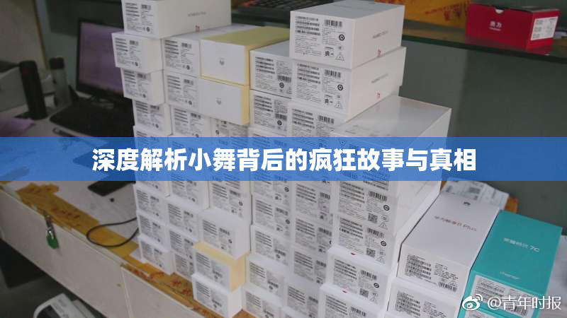 深度解析小舞背后的疯狂故事与真相