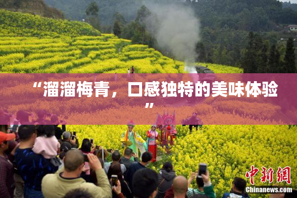 “溜溜梅青，口感独特的美味体验”