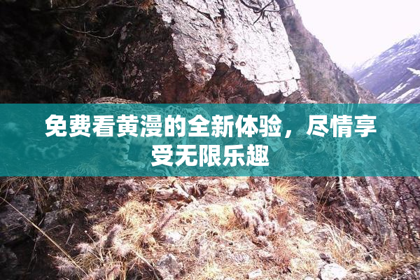 免费看黄漫的全新体验，尽情享受无限乐趣