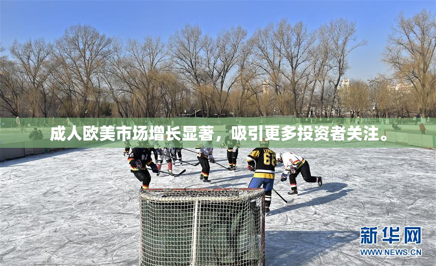 成人欧美市场增长显著，吸引更多投资者关注。