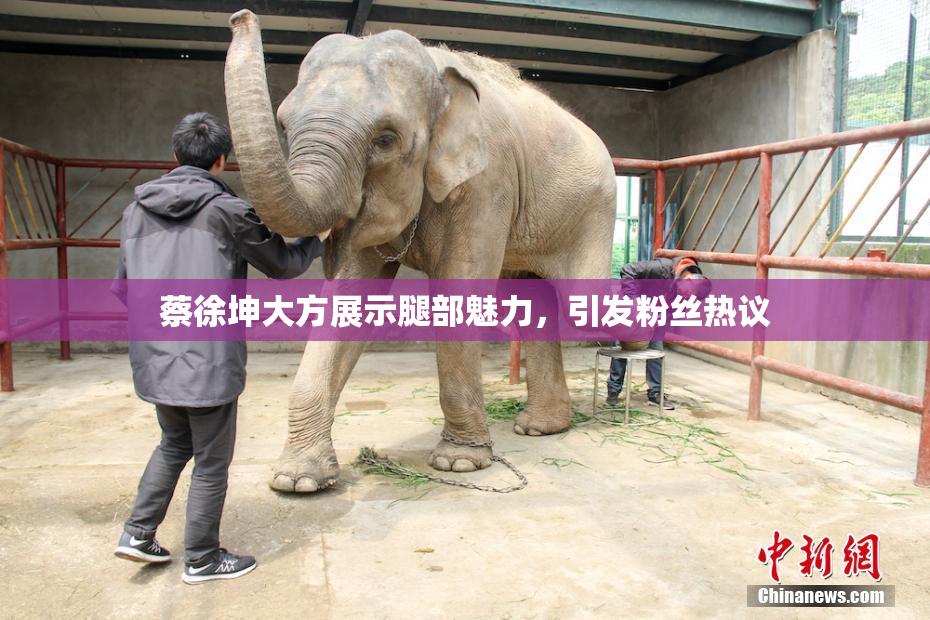 蔡徐坤大方展示腿部魅力，引发粉丝热议