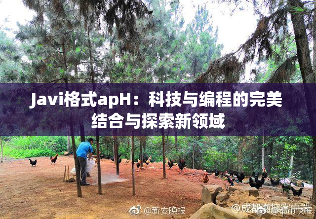 Javi格式apH：科技与编程的完美结合与探索新领域