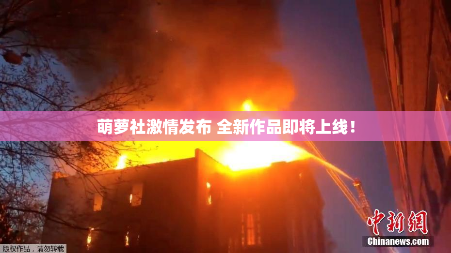 萌萝社激情发布 全新作品即将上线！