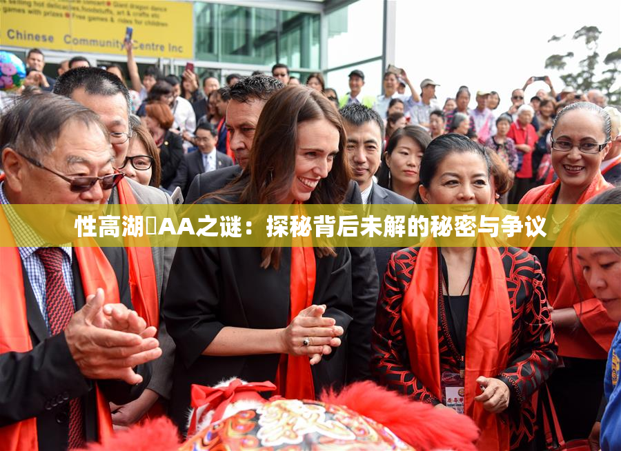 性高湖婬AA之谜：探秘背后未解的秘密与争议