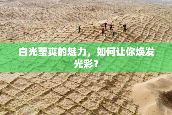 白光莹爽的魅力，如何让你焕发光彩？