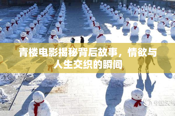 青楼电影揭秘背后故事，情欲与人生交织的瞬间