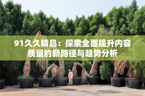 91久久精品：探索全面提升内容质量的新路径与趋势分析