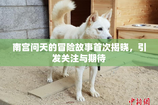 南宫问天的冒险故事首次揭晓，引发关注与期待