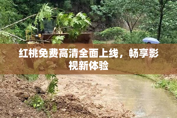 红桃免费高清全面上线，畅享影视新体验