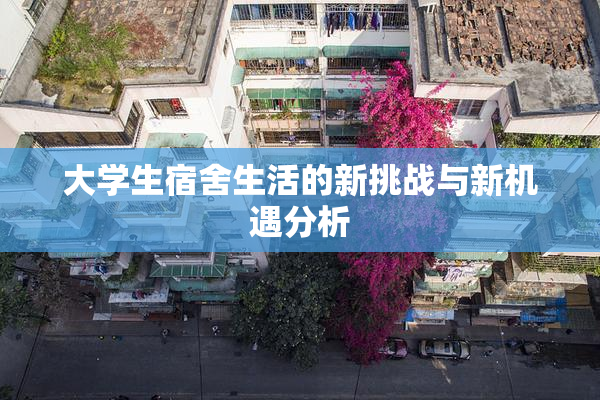 大学生宿舍生活的新挑战与新机遇分析