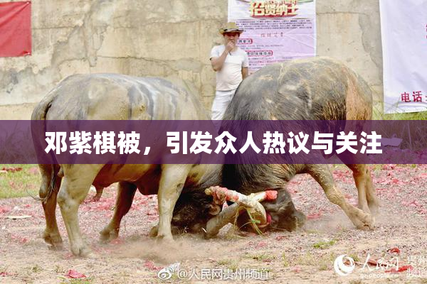邓紫棋被，引发众人热议与关注