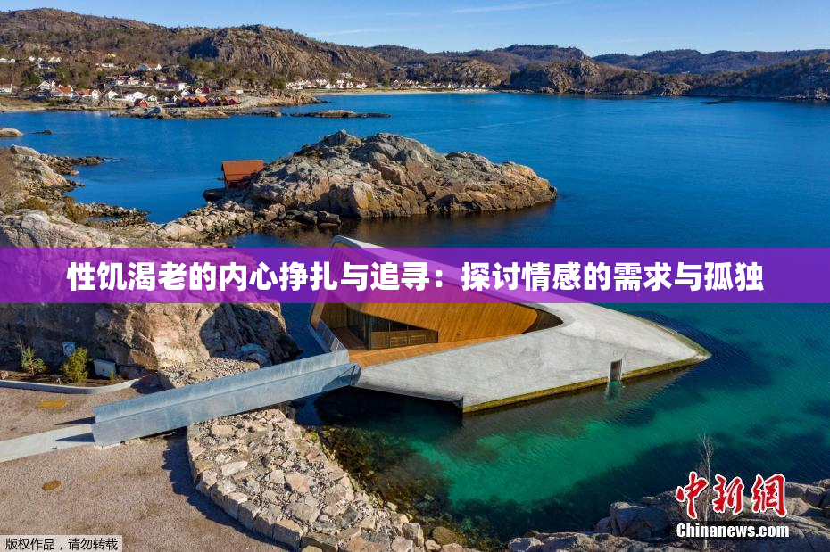 性饥渴老的内心挣扎与追寻：探讨情感的需求与孤独