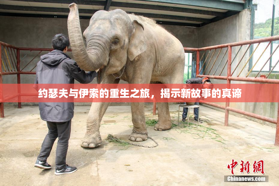约瑟夫与伊索的重生之旅，揭示新故事的真谛