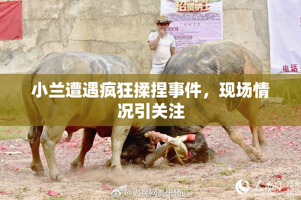 小兰遭遇疯狂揉捏事件，现场情况引关注
