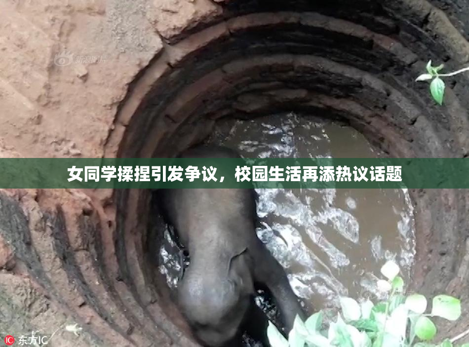 女同学揉捏引发争议，校园生活再添热议话题