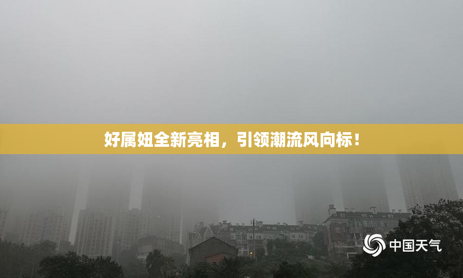 好属妞全新亮相，引领潮流风向标！