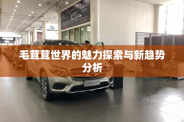 毛茸茸世界的魅力探索与新趋势分析