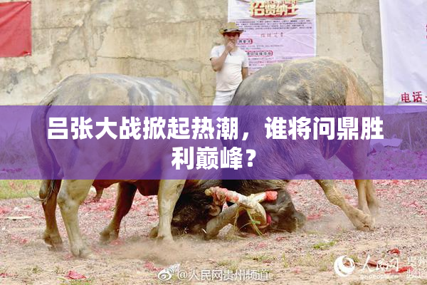 吕张大战掀起热潮，谁将问鼎胜利巅峰？