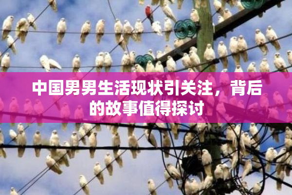 中国男男生活现状引关注，背后的故事值得探讨