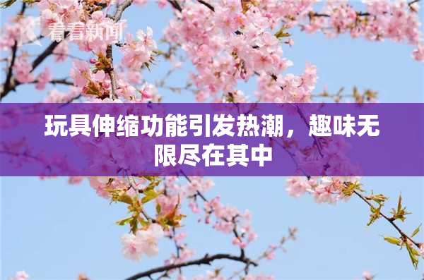 玩具伸缩功能引发热潮，趣味无限尽在其中